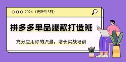 2024拼多多-单品爆款打造班(更新6月)，充分应用你的流量，增长实战培训